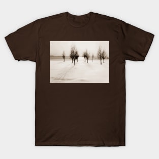 Landscape in snow T-Shirt